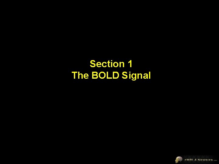Section 1 The BOLD Signal 