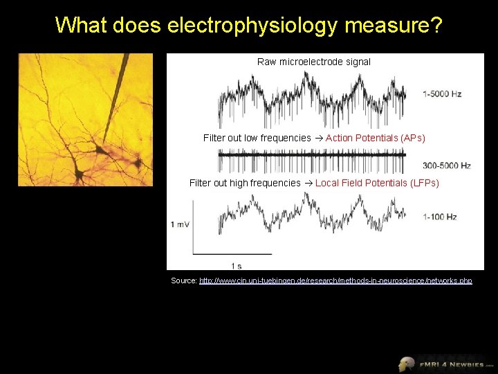 What does electrophysiology measure? Raw microelectrode signal Filter out low frequencies Action Potentials (APs)