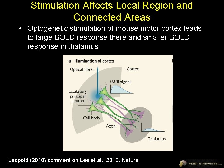 Stimulation Affects Local Region and Connected Areas • Optogenetic stimulation of mouse motor cortex