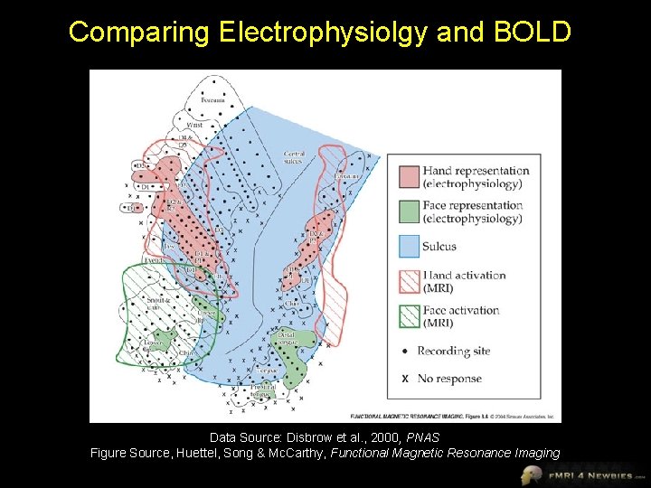 Comparing Electrophysiolgy and BOLD Data Source: Disbrow et al. , 2000, PNAS Figure Source,