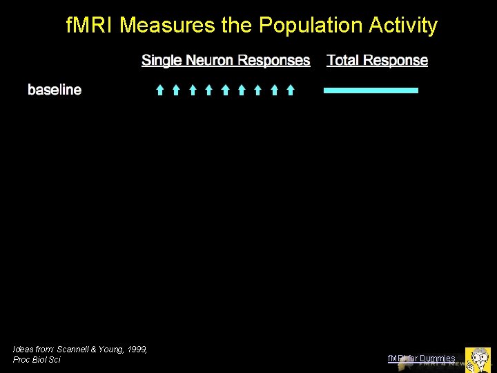 f. MRI Measures the Population Activity Ideas from: Scannell & Young, 1999, Proc Biol