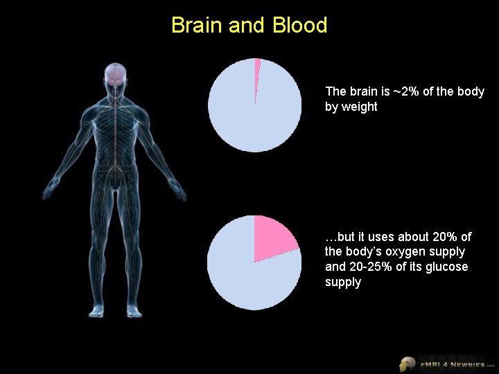 Brain and Blood The brain is ~2% of the body by weight …but it