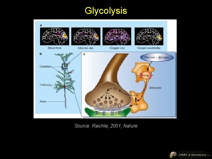 Glycolysis Source: Raichle, 2001, Nature 