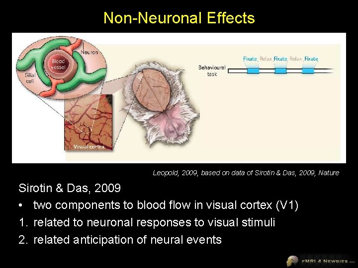 Non-Neuronal Effects Leopold, 2009, based on data of Sirotin & Das, 2009, Nature Sirotin