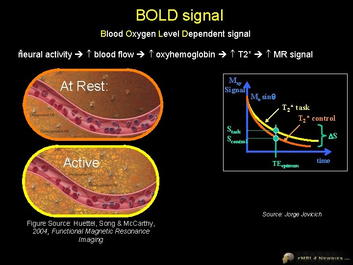 BOLD signal Blood Oxygen Level Dependent signal neural activity blood flow oxyhemoglobin T 2*