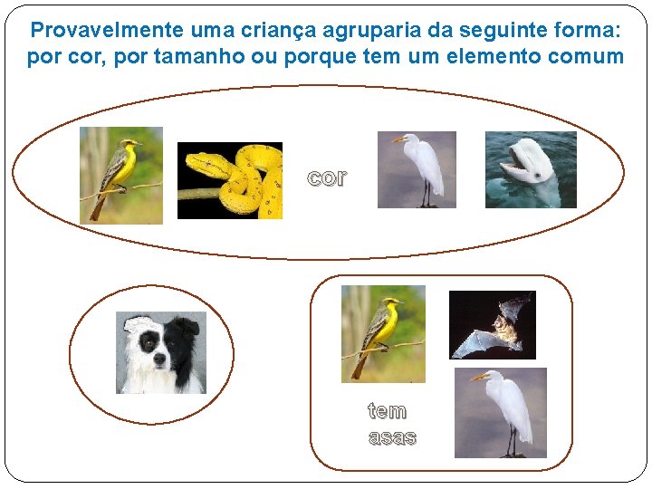 Provavelmente uma criança agruparia da seguinte forma: por cor, por tamanho ou porque tem