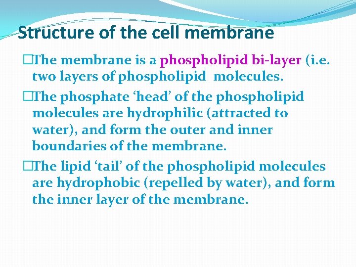 Structure of the cell membrane �The membrane is a phospholipid bi-layer (i. e. two