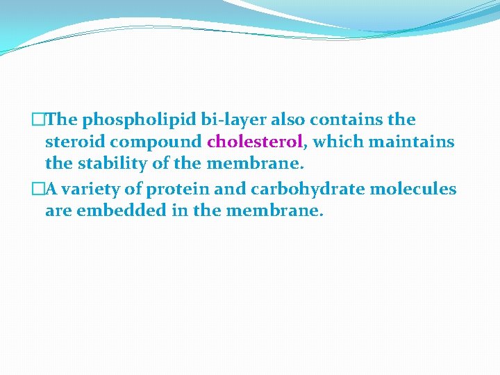 �The phospholipid bi-layer also contains the steroid compound cholesterol, which maintains the stability of
