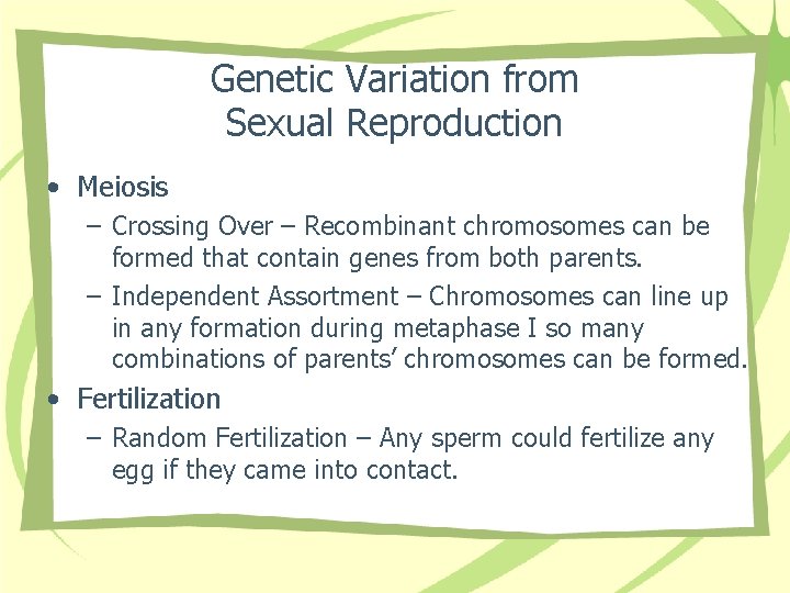Genetic Variation from Sexual Reproduction • Meiosis – Crossing Over – Recombinant chromosomes can