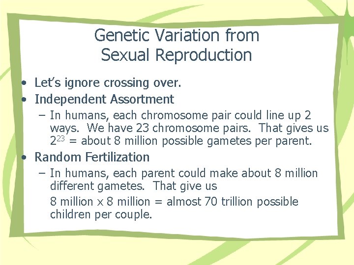 Genetic Variation from Sexual Reproduction • Let’s ignore crossing over. • Independent Assortment –