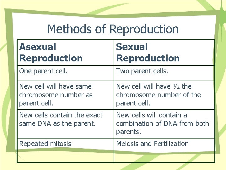 Methods of Reproduction Asexual Reproduction Sexual Reproduction One parent cell. Two parent cells. New
