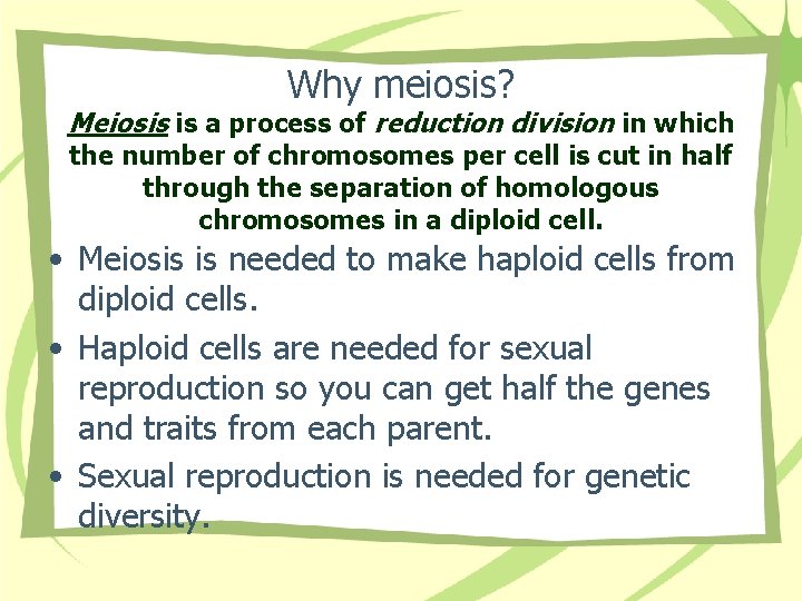 Why meiosis? Meiosis is a process of reduction division in which the number of