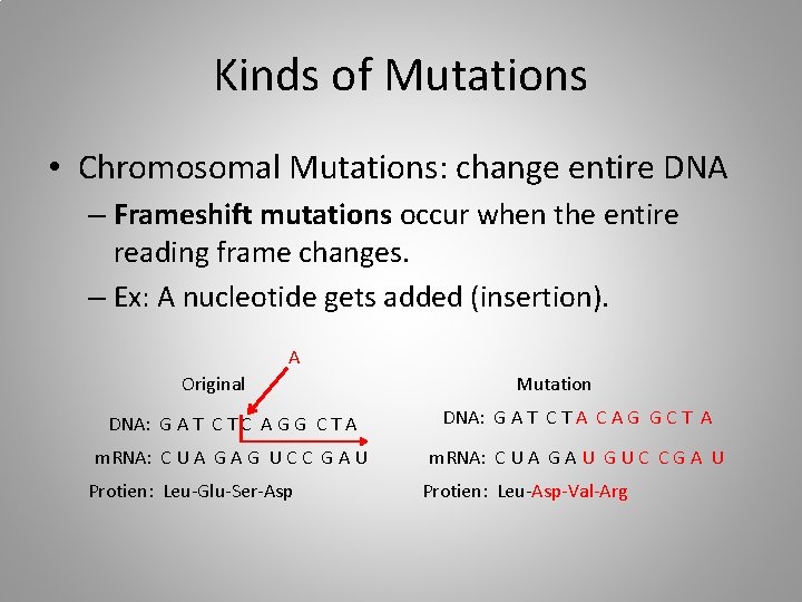 12 4 Mutations Are all mutations bad Objective