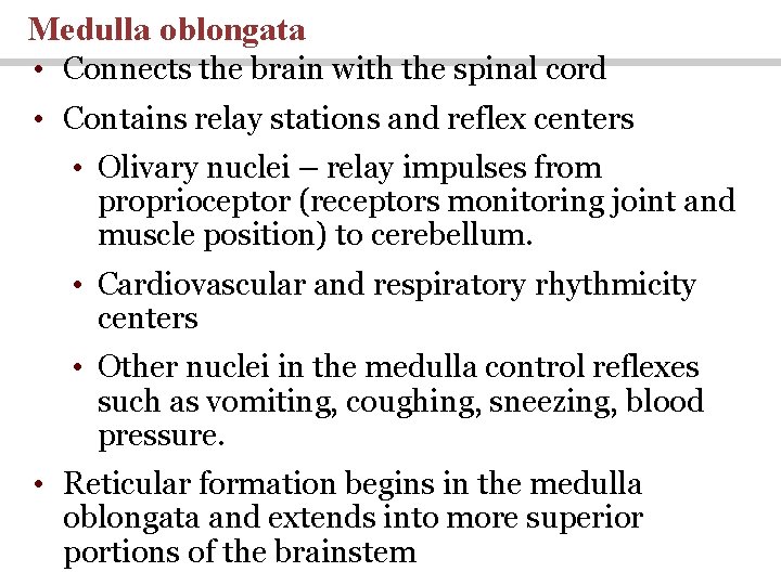 Medulla oblongata • Connects the brain with the spinal cord • Contains relay stations
