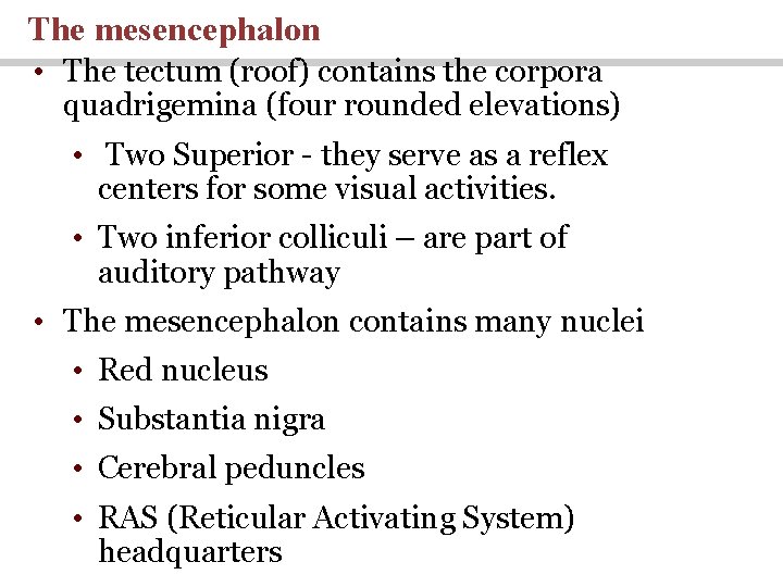The mesencephalon • The tectum (roof) contains the corpora quadrigemina (four rounded elevations) •