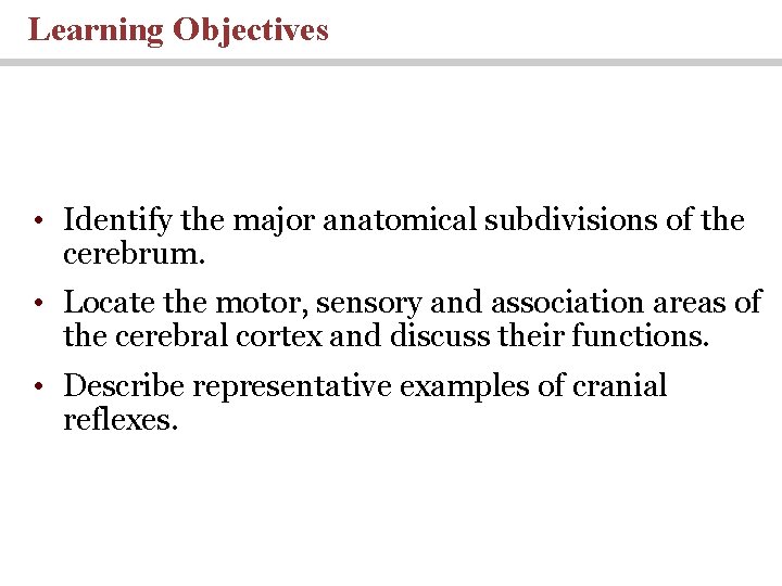 Learning Objectives • Identify the major anatomical subdivisions of the cerebrum. • Locate the