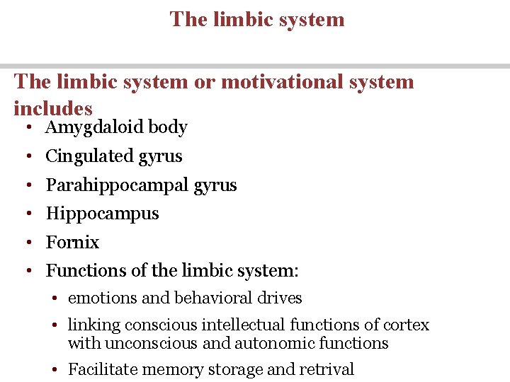 The limbic system or motivational system includes • Amygdaloid body • Cingulated gyrus •