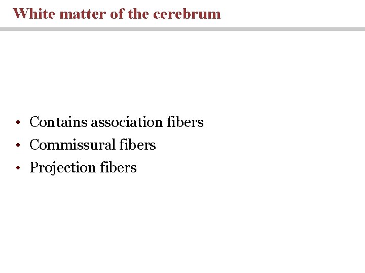 White matter of the cerebrum • Contains association fibers • Commissural fibers • Projection