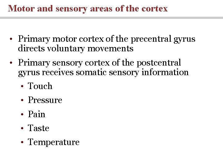 Motor and sensory areas of the cortex • Primary motor cortex of the precentral