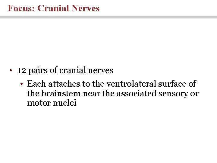 Focus: Cranial Nerves • 12 pairs of cranial nerves • Each attaches to the