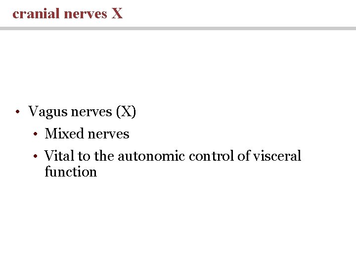 cranial nerves X • Vagus nerves (X) • Mixed nerves • Vital to the