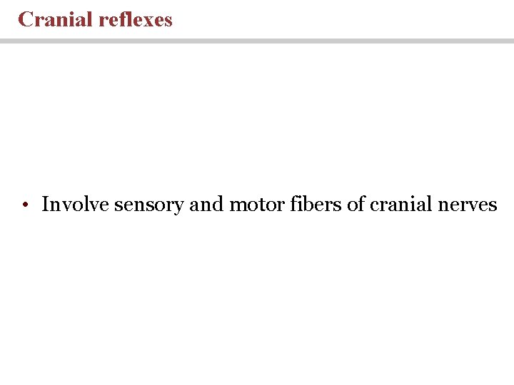 Cranial reflexes • Involve sensory and motor fibers of cranial nerves 