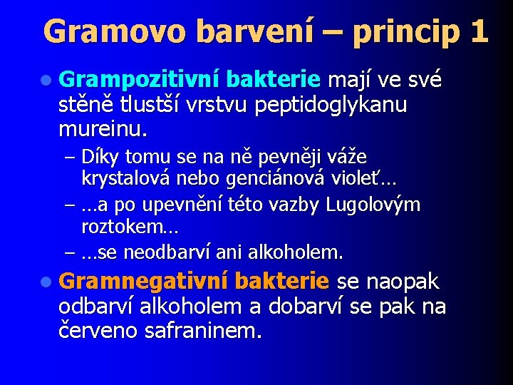 Gramovo barvení – princip 1 l Grampozitivní bakterie mají ve své stěně tlustší vrstvu