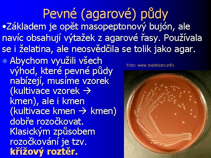 Pevné (agarové) půdy • Základem je opět masopeptonový bujón, ale navíc obsahují výtažek z