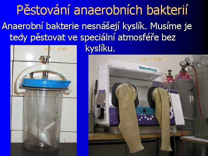 Pěstování anaerobních bakterií Anaerobní bakterie nesnášejí kyslík. Musíme je tedy pěstovat ve speciální atmosféře