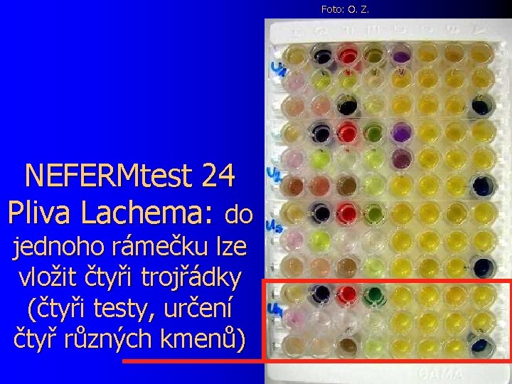 Foto: O. Z. NEFERMtest 24 Pliva Lachema: do jednoho rámečku lze vložit čtyři trojřádky