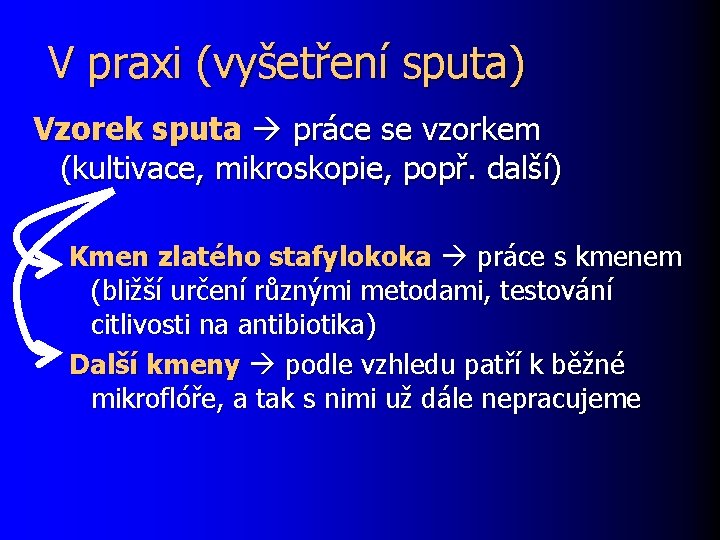 V praxi (vyšetření sputa) Vzorek sputa práce se vzorkem (kultivace, mikroskopie, popř. další) Kmen