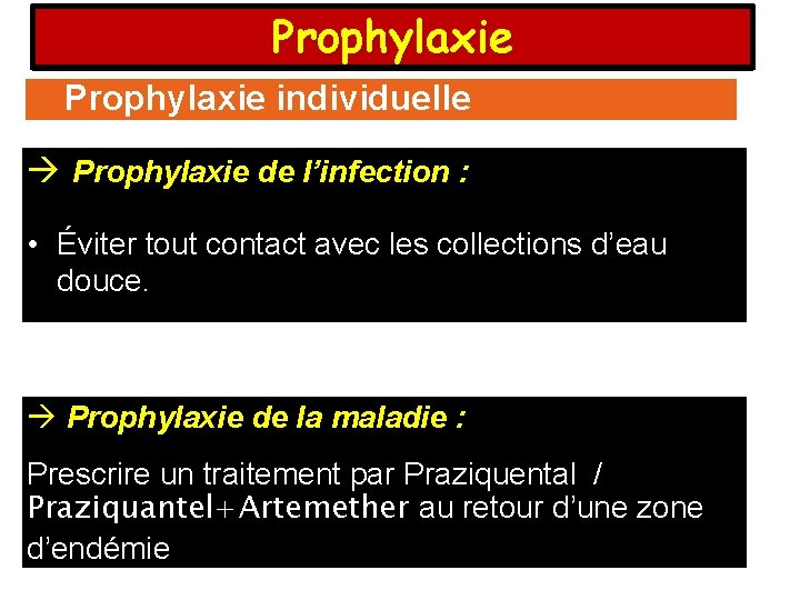 Prophylaxie individuelle Prophylaxie de l’infection : • Éviter tout contact avec les collections d’eau