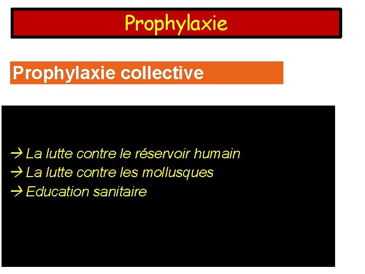 Prophylaxie collective La lutte contre le réservoir humain La lutte contre les mollusques Education