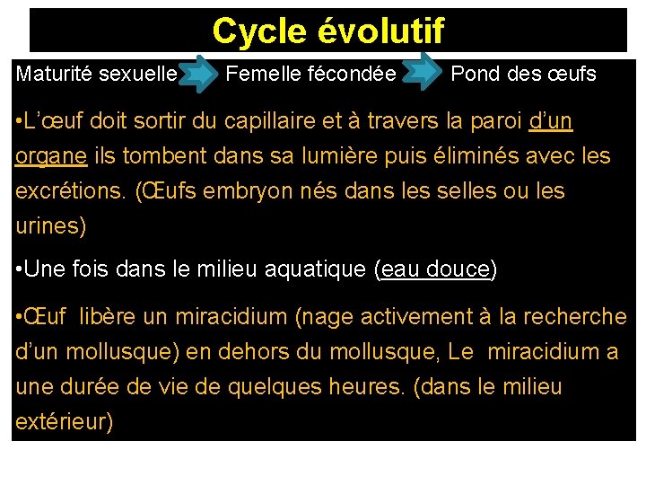 Cycle évolutif Maturité sexuelle Femelle fécondée Pond des œufs • L’œuf doit sortir du
