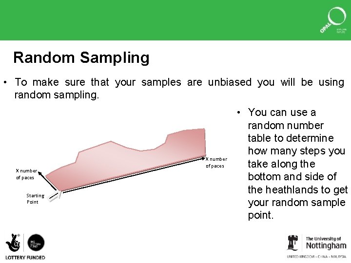 Random Sampling • To make sure that your samples are unbiased you will be