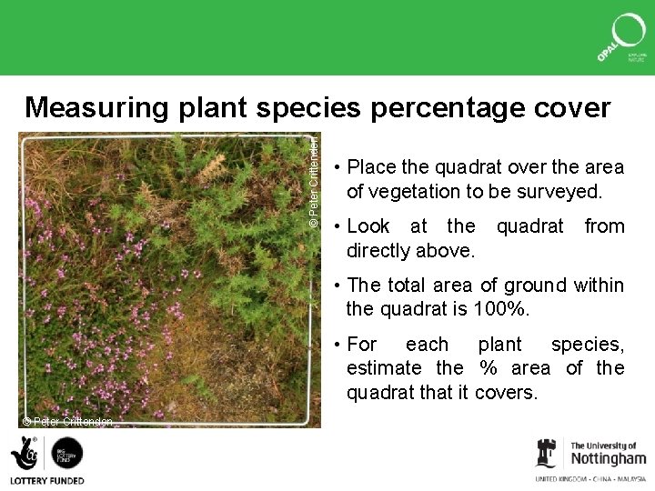 © Peter Crittenden Measuring plant species percentage cover • Place the quadrat over the