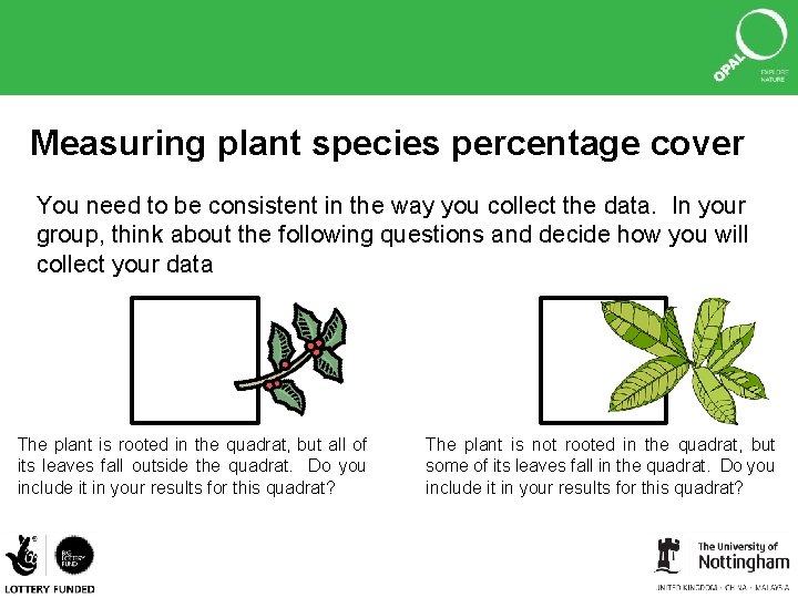 Measuring plant species percentage cover You need to be consistent in the way you