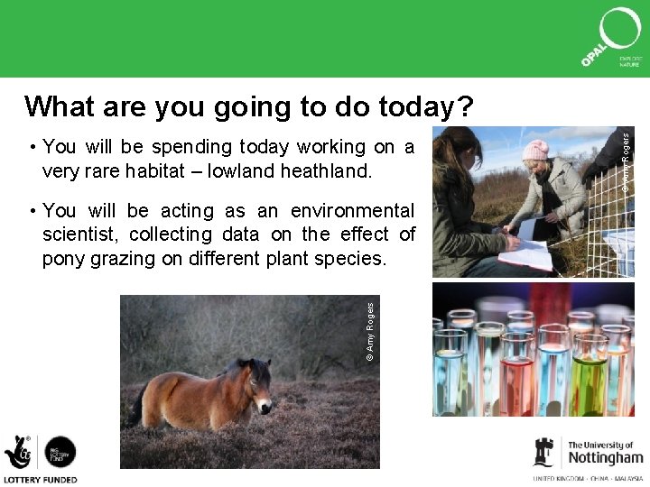  • You will be spending today working on a very rare habitat –