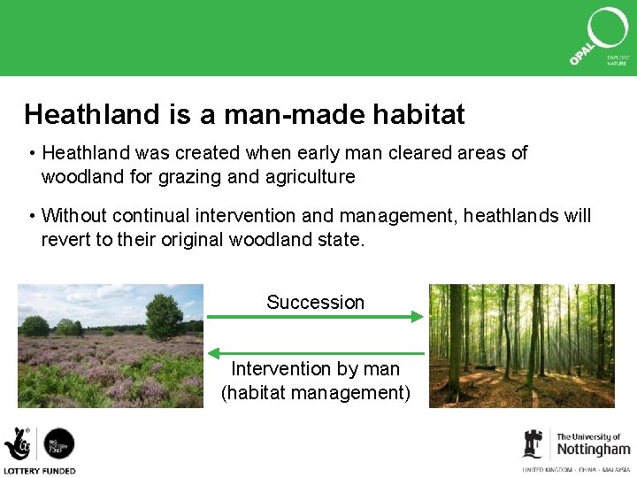 Heathland is a man-made habitat • Heathland was created when early man cleared areas