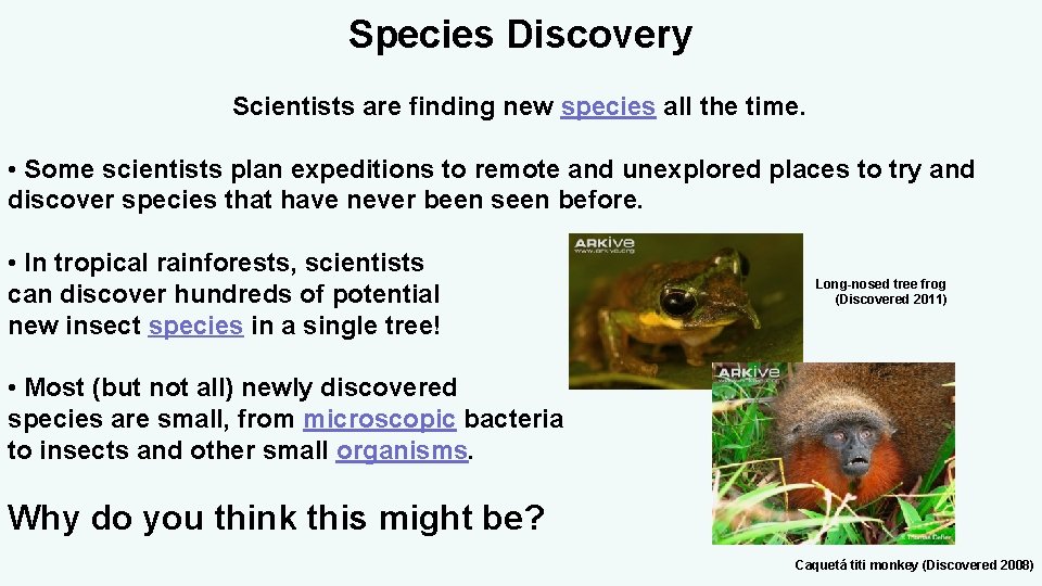 Species Discovery Scientists are finding new species all the time. • Some scientists plan