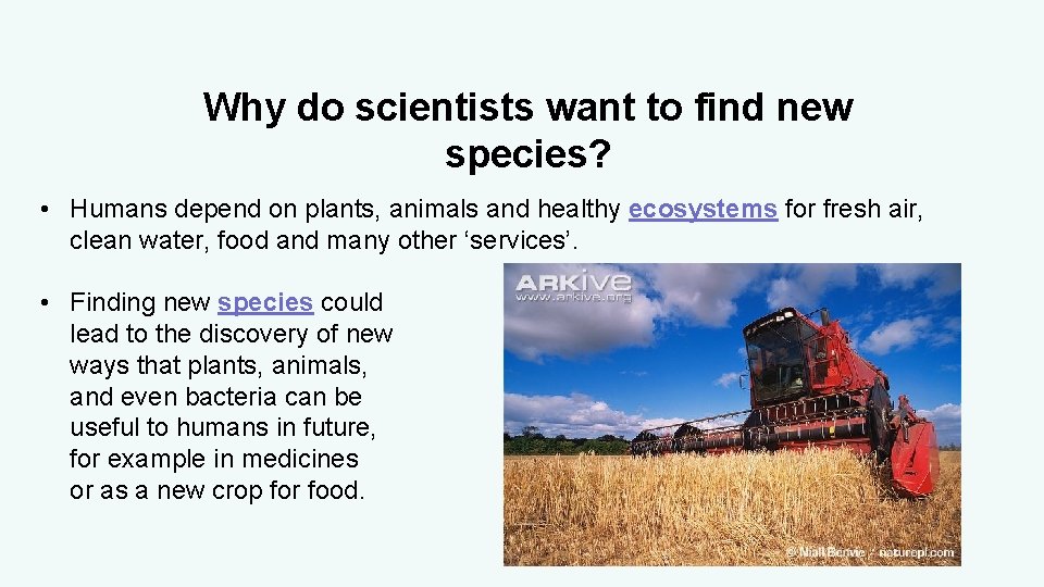 Why do scientists want to find new species? • Humans depend on plants, animals