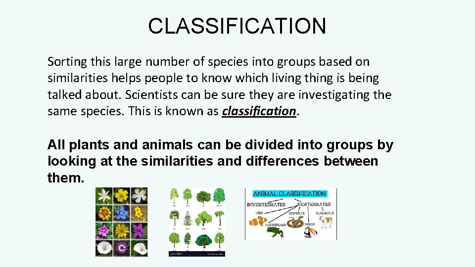 CLASSIFICATION Sorting this large number of species into groups based on similarities helps people