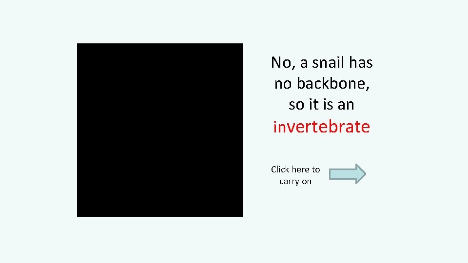 No, a snail has no backbone, so it is an invertebrate Click here to