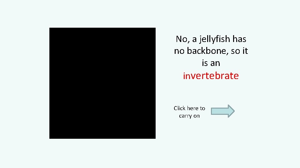 No, a jellyfish has no backbone, so it is an invertebrate Click here to