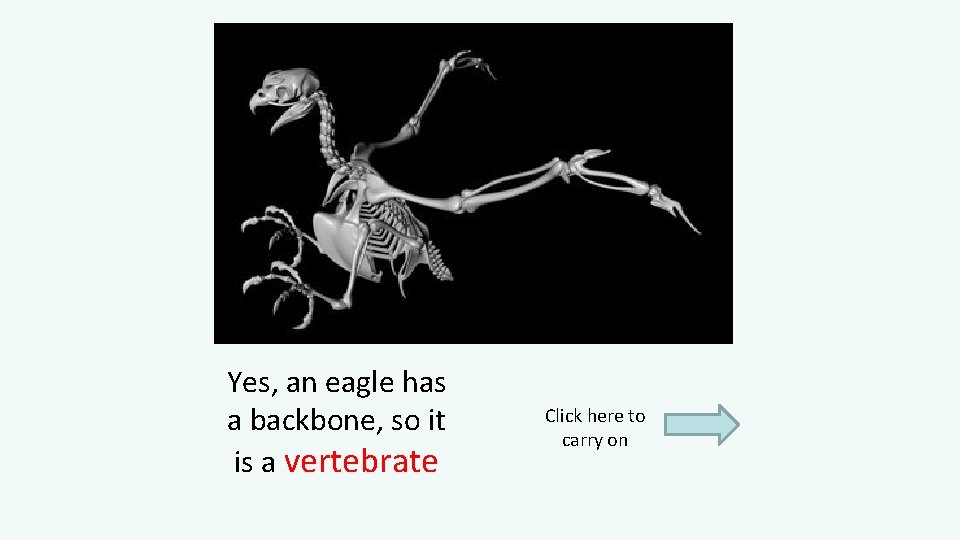 Yes, an eagle has a backbone, so it is a vertebrate Click here to