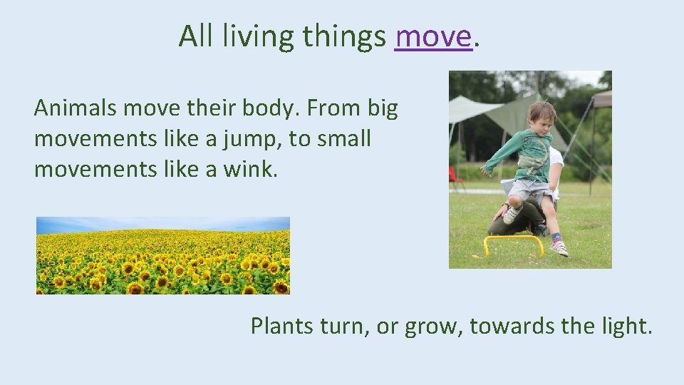 All living things move. Animals move their body. From big movements like a jump,