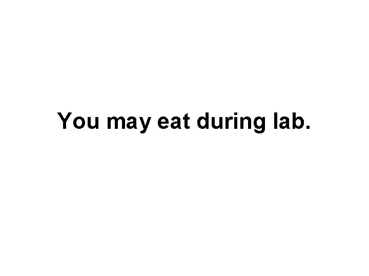 You may eat during lab. 
