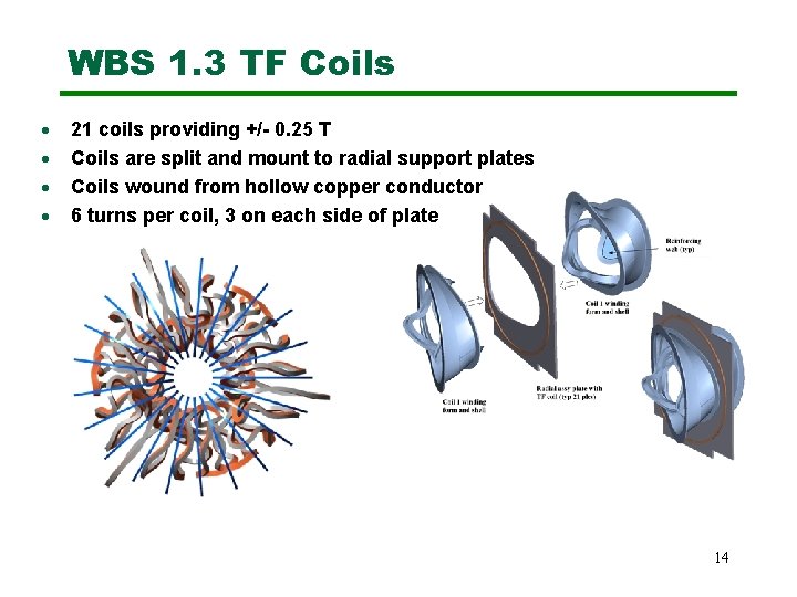 WBS 1. 3 TF Coils · · 21 coils providing +/- 0. 25 T