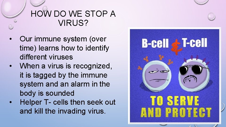 HOW DO WE STOP A VIRUS? • • • Our immune system (over time)