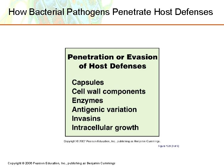 How Bacterial Pathogens Penetrate Host Defenses Copyright © 2006 Pearson Education, Inc. , publishing